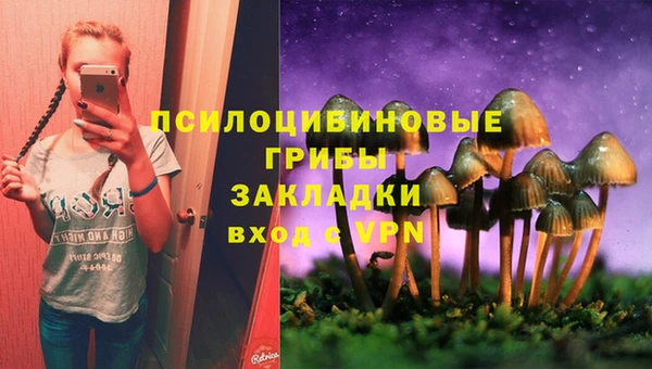 не бодяженный Михайловск