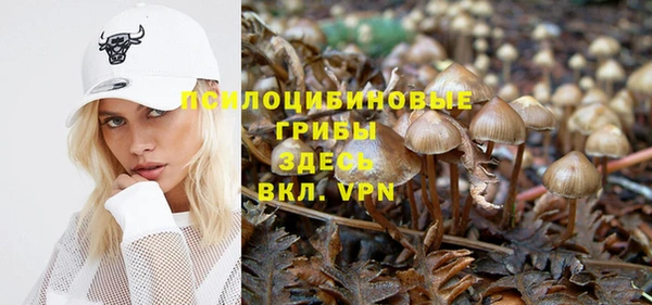 a pvp Михайловка