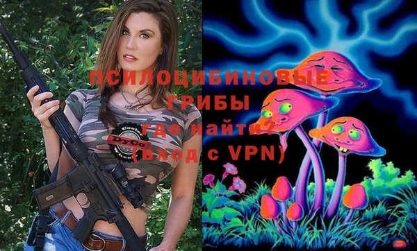 не бодяженный Михайловск