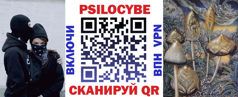 Псилоцибиновые грибы Magic Shrooms  OMG онион  Люберцы  как найти закладки 