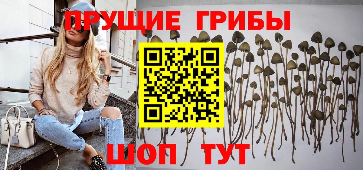 Псилоцибиновые грибы Magic Shrooms  Псилоцибиновые грибы Magic Shrooms  Люберцы 
